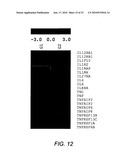 Diagnostic system for selecting nutrition and pharmacological products for animals diagram and image