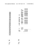 APPARATUS AND METHOD FOR DATA PROCESS diagram and image