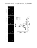 FLUORESCENT MOUSE MODEL diagram and image