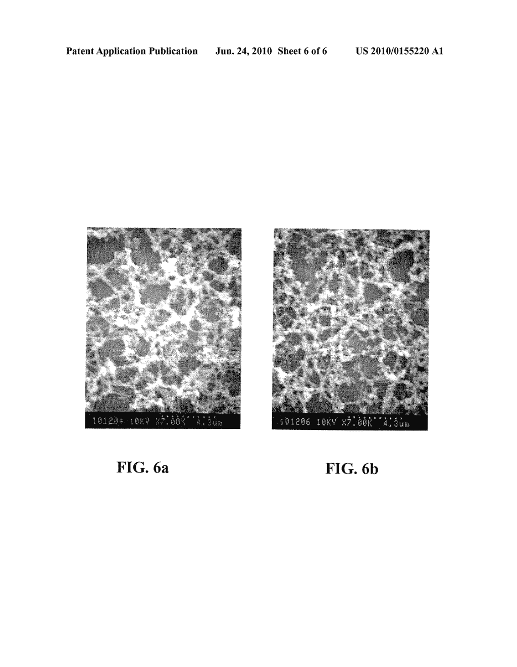 CARBON NANOTUBE/POLYMER COMPOSITES RESISTANT TO IONIZING RADIATION - diagram, schematic, and image 07