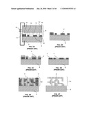 Microprobe Tips and Methods for Making diagram and image