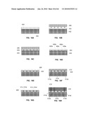 Microprobe Tips and Methods for Making diagram and image