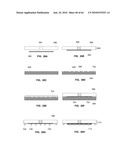 Microprobe Tips and Methods for Making diagram and image