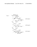 RECOMBINANT VON WILLEBRAND FACTOR AS MOLECULAR WEIGHT MARKER FOR MASS SPECTROMETRY ANALYSES diagram and image