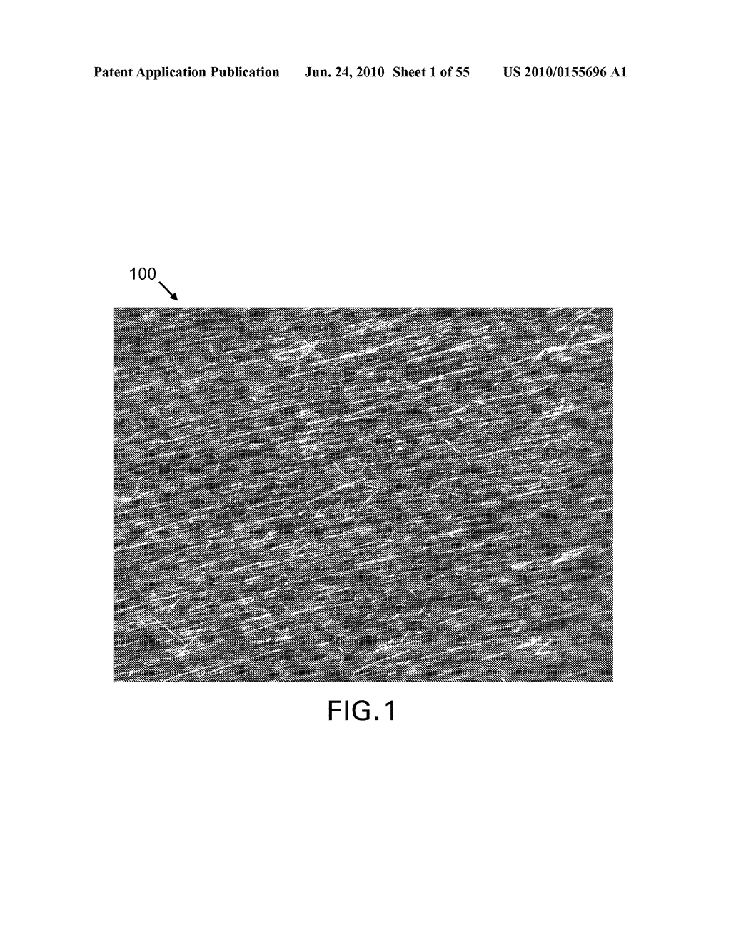 Large-Area Nanoenabled Macroelectronic Substrates and Uses Therefor - diagram, schematic, and image 02