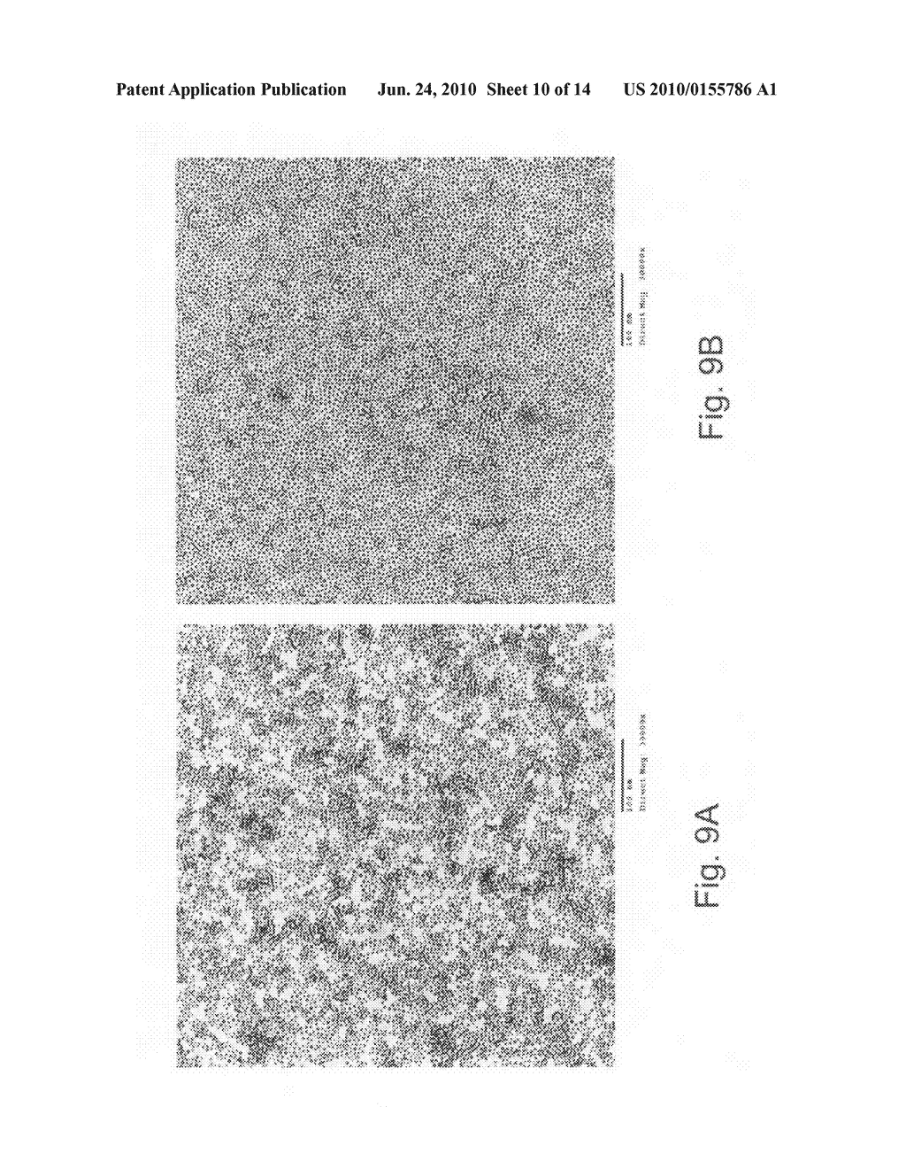 Methods and devices for forming nanostructure monolayers and devices including such monolayers - diagram, schematic, and image 11