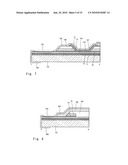 LIGHT EMITTING DEVICE diagram and image