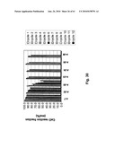 FUEL REFORMER CATALYST AND ABSORBENT MATERIALS diagram and image