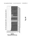 FUEL REFORMER CATALYST AND ABSORBENT MATERIALS diagram and image