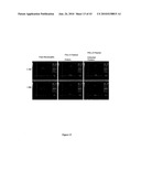 Biological Cell Tracking With Ultrasound diagram and image