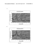 Biological Cell Tracking With Ultrasound diagram and image