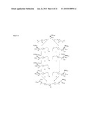 DENDRIMER BASED MODULAR PLATFORMS diagram and image