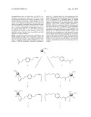 DENDRIMER BASED MODULAR PLATFORMS diagram and image