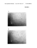 USE OF ALKALINE PHOSPHATASE TO MAINTAIN HEALTHY TISSUE MASS IN MAMMALS diagram and image