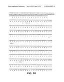 CONNECTIVE TISSUE GROWTH FACTOR FRAGMENTS AND METHODS AND USES THEREOF diagram and image