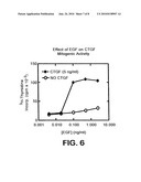 CONNECTIVE TISSUE GROWTH FACTOR FRAGMENTS AND METHODS AND USES THEREOF diagram and image