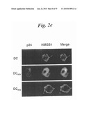 MONITORING AND INHIBITING HUMAN IMMUNODEFICIENCY VIRUS INFECTION BY MODULATING HMGB1 DEPENDENT TRIGGERING OF HIV-1 REPLICATION AND PERSISTENCE diagram and image