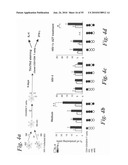 MONITORING AND INHIBITING HUMAN IMMUNODEFICIENCY VIRUS INFECTION BY MODULATING HMGB1 DEPENDENT TRIGGERING OF HIV-1 REPLICATION AND PERSISTENCE diagram and image