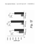 MONITORING AND INHIBITING HUMAN IMMUNODEFICIENCY VIRUS INFECTION BY MODULATING HMGB1 DEPENDENT TRIGGERING OF HIV-1 REPLICATION AND PERSISTENCE diagram and image