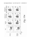 MONITORING AND INHIBITING HUMAN IMMUNODEFICIENCY VIRUS INFECTION BY MODULATING HMGB1 DEPENDENT TRIGGERING OF HIV-1 REPLICATION AND PERSISTENCE diagram and image