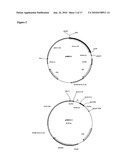 Antibody Molecules Having Specificity for Human IL-1B diagram and image