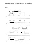 Antibody Molecules Having Specificity for Human IL-1B diagram and image