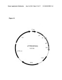 Antibody Molecules Having Specificity for Human IL-1B diagram and image