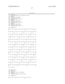 ANTIBODIES, METHODS AND KITS FOR DIAGNOSING AND TREATING MELANOMA diagram and image