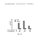 ANTIBODIES, METHODS AND KITS FOR DIAGNOSING AND TREATING MELANOMA diagram and image