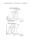 ANTIBODIES, METHODS AND KITS FOR DIAGNOSING AND TREATING MELANOMA diagram and image