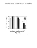 ANTIBODIES, METHODS AND KITS FOR DIAGNOSING AND TREATING MELANOMA diagram and image