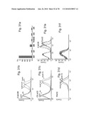 ANTIBODIES, METHODS AND KITS FOR DIAGNOSING AND TREATING MELANOMA diagram and image