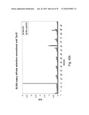 ANTIBODIES, METHODS AND KITS FOR DIAGNOSING AND TREATING MELANOMA diagram and image