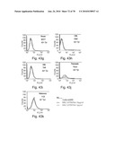 ANTIBODIES, METHODS AND KITS FOR DIAGNOSING AND TREATING MELANOMA diagram and image