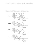 ANTIBODIES, METHODS AND KITS FOR DIAGNOSING AND TREATING MELANOMA diagram and image