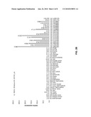 NOVEL IMMUNOTHERAPY AGAINST SEVERAL TUMORS INCLUDING NEURONAL AND BRAIN TUMORS diagram and image