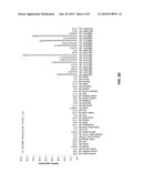 NOVEL IMMUNOTHERAPY AGAINST SEVERAL TUMORS INCLUDING NEURONAL AND BRAIN TUMORS diagram and image