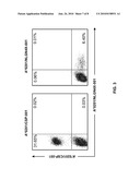 NOVEL IMMUNOTHERAPY AGAINST SEVERAL TUMORS INCLUDING NEURONAL AND BRAIN TUMORS diagram and image