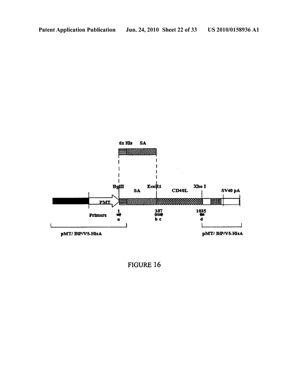 IMMUNOSTIMULATORY COMPOSITIONS AND METHODS - diagram, schematic, and image 23