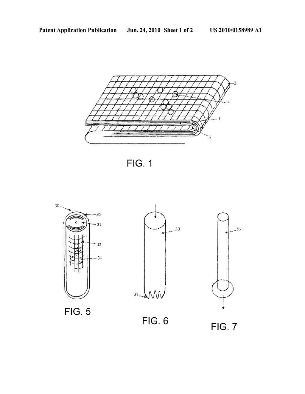 Hemostatic Agent Composition, Delivery System and Method - diagram, schematic, and image 02