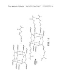 Compositions For Biomedical Applications diagram and image