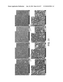 Compositions For Biomedical Applications diagram and image