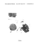 NANOCRYSTALLINE ALLOYS OF THE FE3AL(RU) TYPE AND USE THEREOF OPTIONALLY IN NANOCRYSTALLINE FORM FOR MAKING ELECTRODES FOR SODIUM CHLORATE SYNTHESIS diagram and image