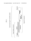 Detection Assays and Use Thereof diagram and image