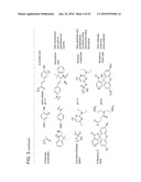 Detection Assays and Use Thereof diagram and image