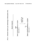 Detection Assays and Use Thereof diagram and image