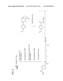 Detection Assays and Use Thereof diagram and image