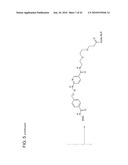 Detection Assays and Use Thereof diagram and image