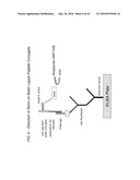 Detection Assays and Use Thereof diagram and image