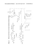 Detection Assays and Use Thereof diagram and image